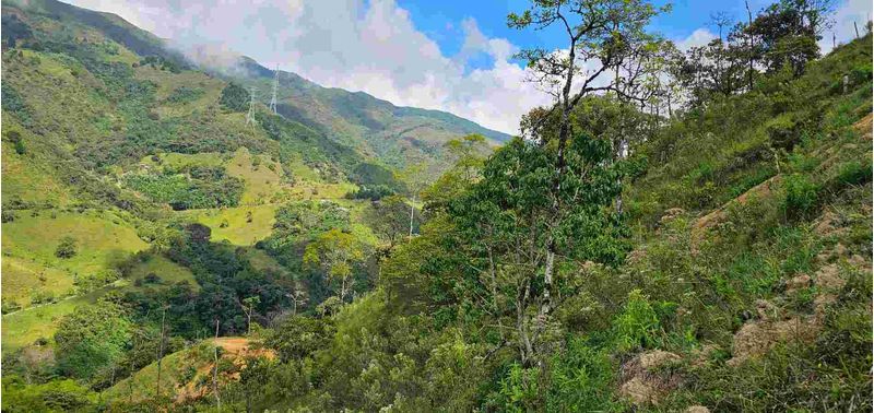 Lote en Venta en Santa Bárbara, Santa Bárbara-9