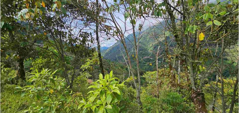 Lote en Venta en Santa Bárbara, Santa Bárbara-15