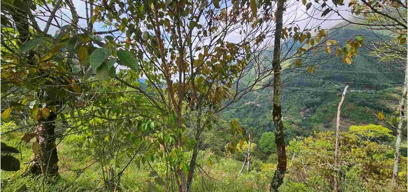 Lote en Venta en Santa Bárbara, Santa Bárbara-18