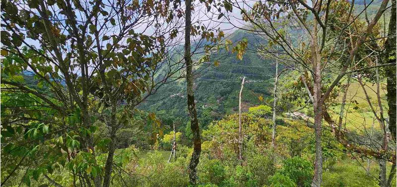 Lote en Venta en Santa Bárbara, Santa Bárbara-19