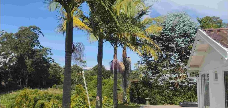 Casa en Venta en El Carmen De Viboral, El Carmen de Viboral-2