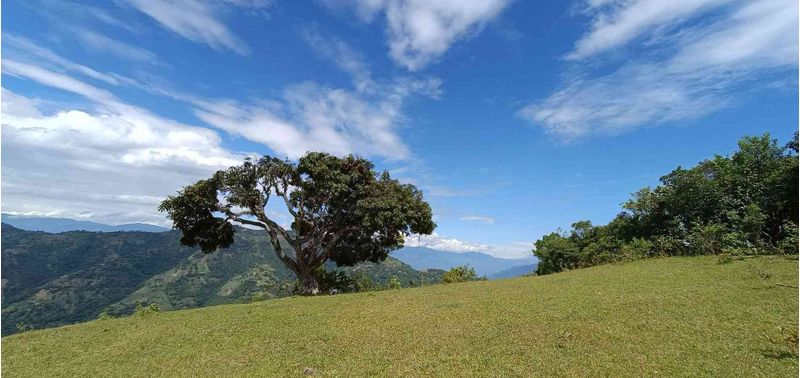 Lote en Venta en Santa Bárbara, Santa Bárbara-1