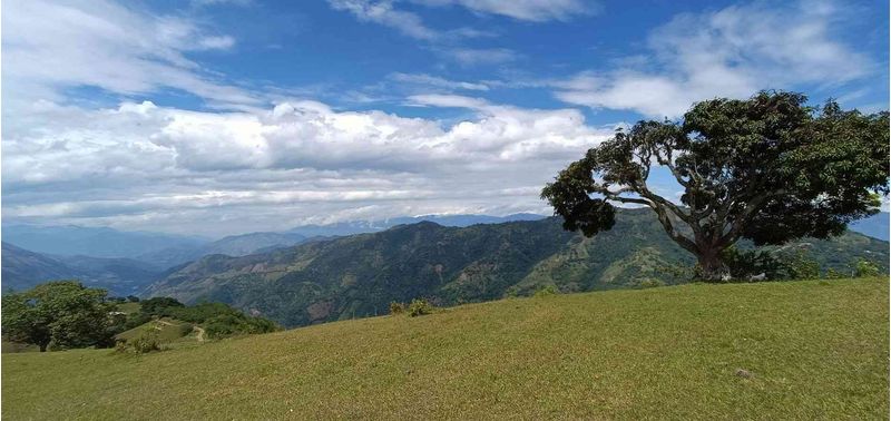 Lote en Venta en Santa Bárbara, Santa Bárbara-2