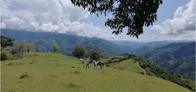 Lote en Venta en Santa Bárbara, Santa Bárbara-4
