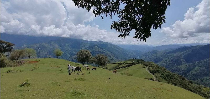 Lote en Venta en Santa Bárbara, Santa Bárbara-5