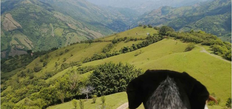 Lote en Venta en Santa Bárbara, Santa Bárbara-7