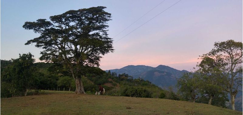 Lote en Venta en Santa Bárbara, Santa Bárbara-10