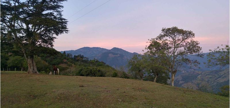 Lote en Venta en Santa Bárbara, Santa Bárbara-11