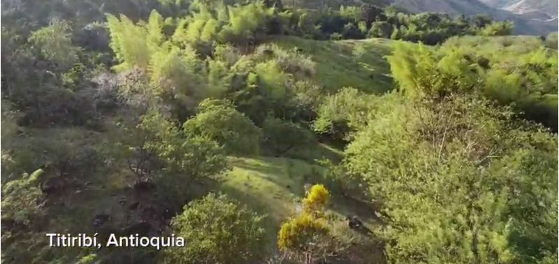 Lote en Venta en Titiribí, Titiribí-2