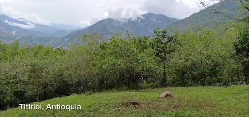 Lote en Venta en Titiribí, Titiribí-3