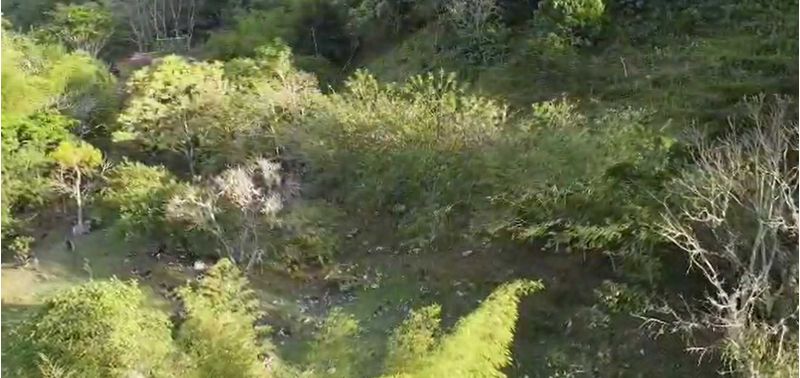 Lote en Venta en Titiribí, Titiribí-9