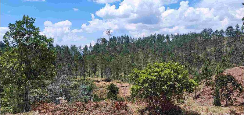 Lote en Venta en Retiro, El Chuscal-0