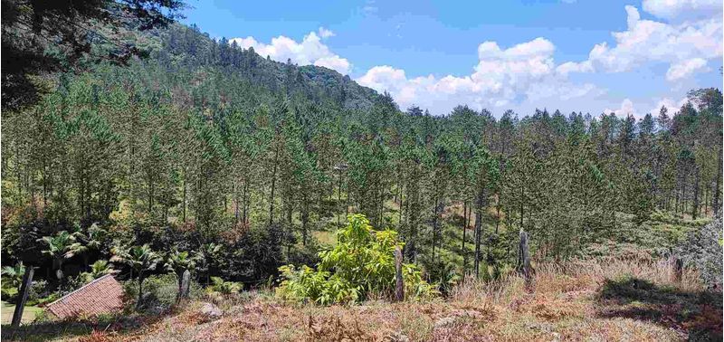 Lote en Venta en Retiro, El Chuscal-2