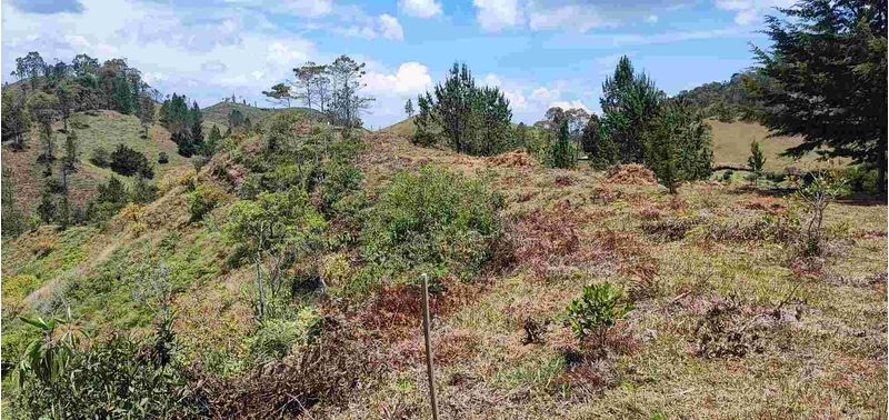 Lote en Venta en Retiro, El Chuscal-4