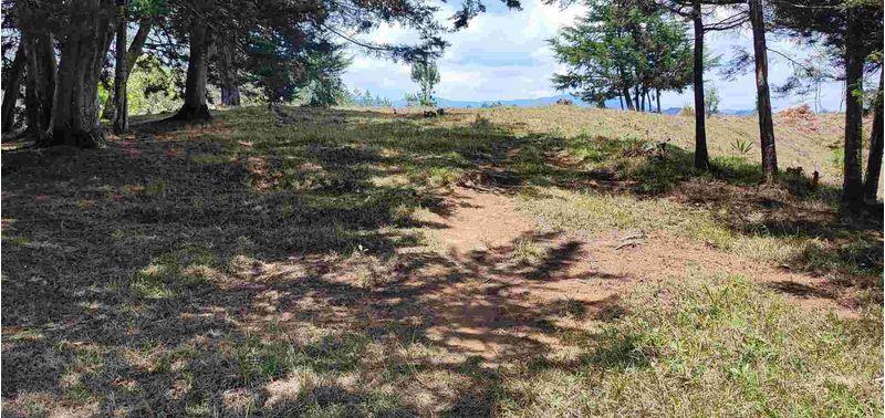 Lote en Venta en Retiro, El Chuscal-5
