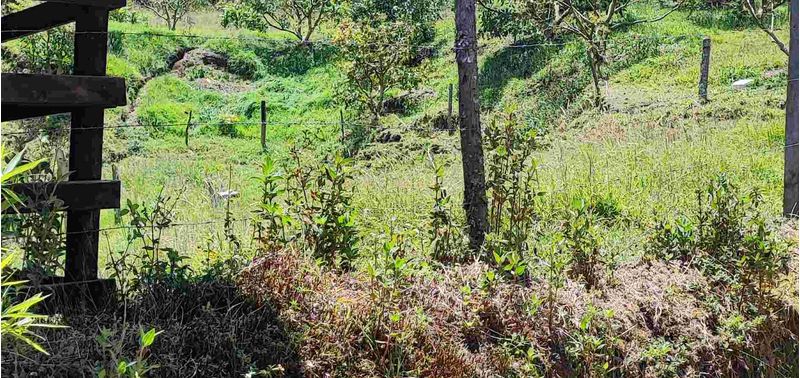 Lote en Venta en Retiro, El Chuscal-6
