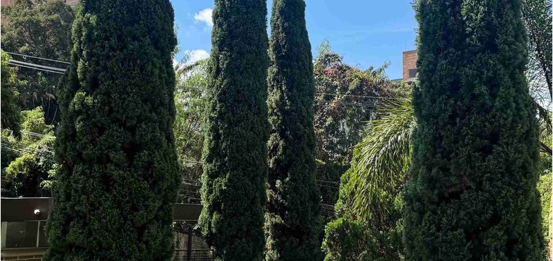Apartamento en Venta en Medellín, El Poblado-0