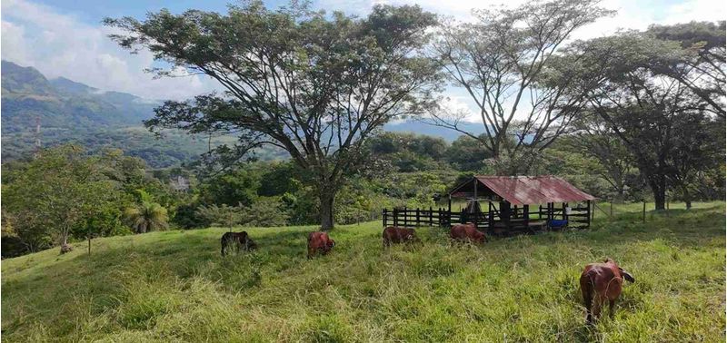 Casa en Venta en Jericó, Jericó-13