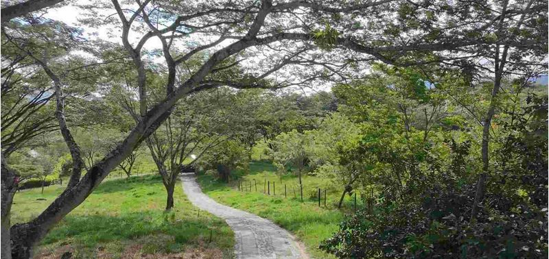 Casa en Venta en Jericó, Jericó-14