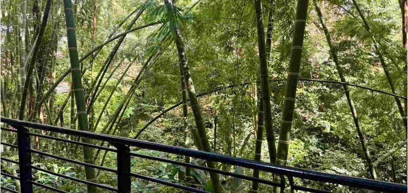 Apartamento en Venta en Medellín, El Poblado-25