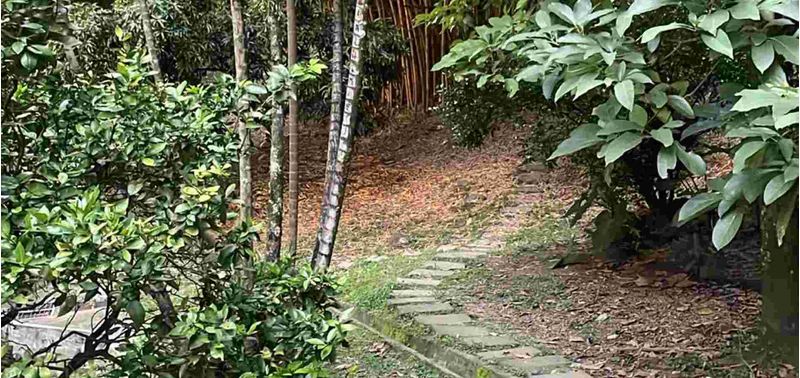 Apartamento en Venta en Medellín, Salvador-11