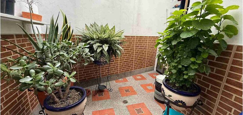 Casa en Venta en Medellín, Belén La Palma-2