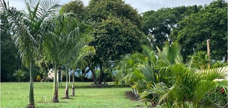 Lote en Venta en San Sebastián De Mariquita, Mariquita-2