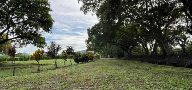 Lote en Venta en San Sebastián De Mariquita, Mariquita-3
