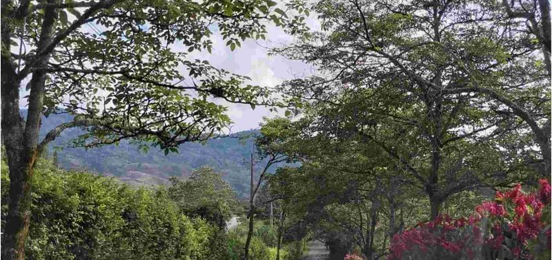 Casa en Venta en Barbosa, Barbosa-22