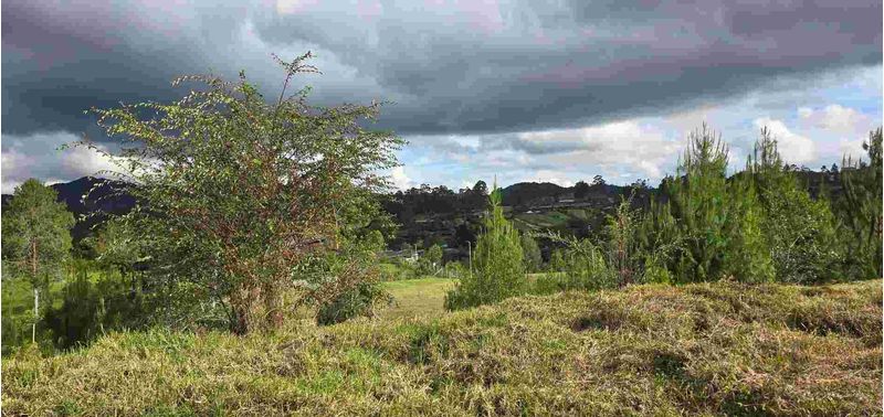 Lote en Venta en Retiro, Pantanillo-13