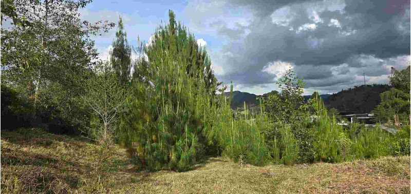 Lote en Venta en Retiro, Pantanillo-16