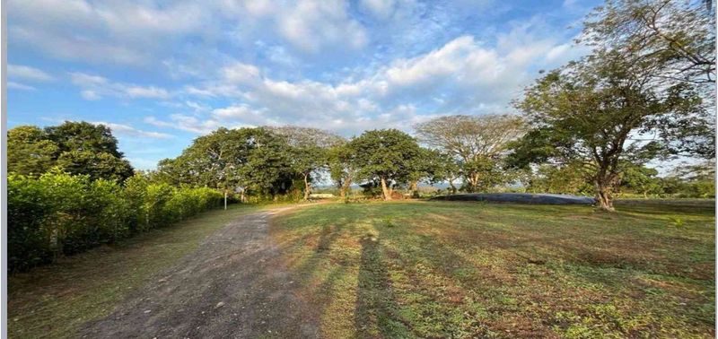 Casa en Venta en San Sebastián De Mariquita, Mariquita-24