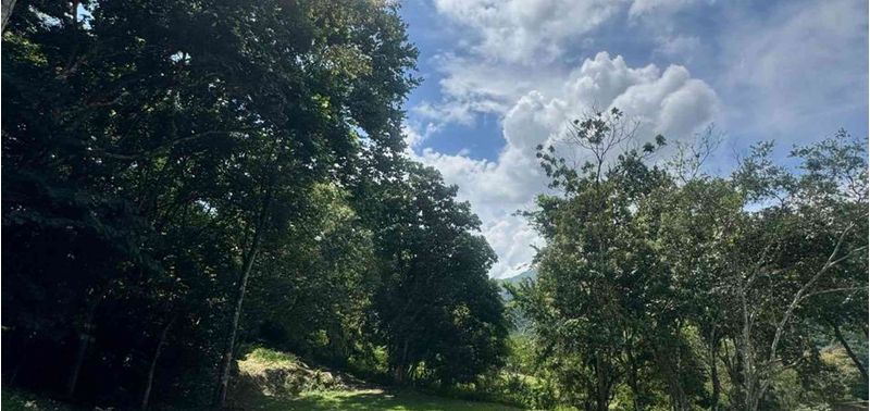 Lote en Venta en Bogotá, D.C., Quebradanegra-0