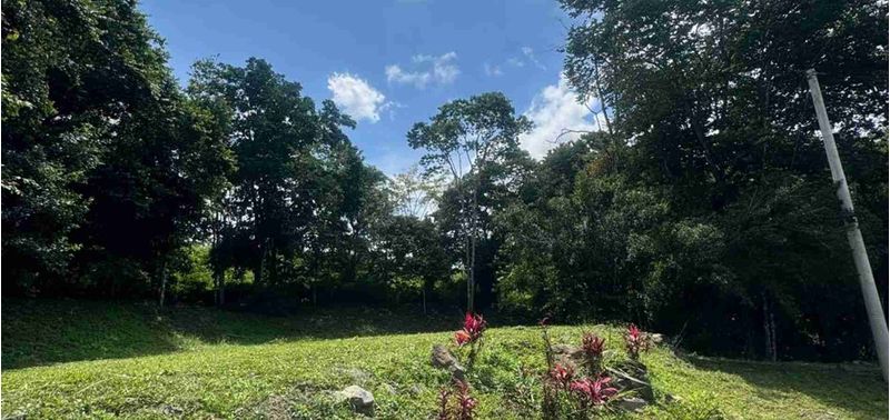 Lote en Venta en Bogotá, D.C., Quebradanegra-1