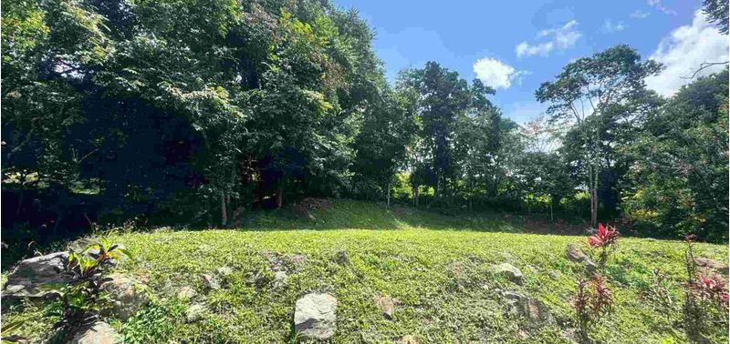 Lote en Venta en Bogotá, D.C., Quebradanegra-4