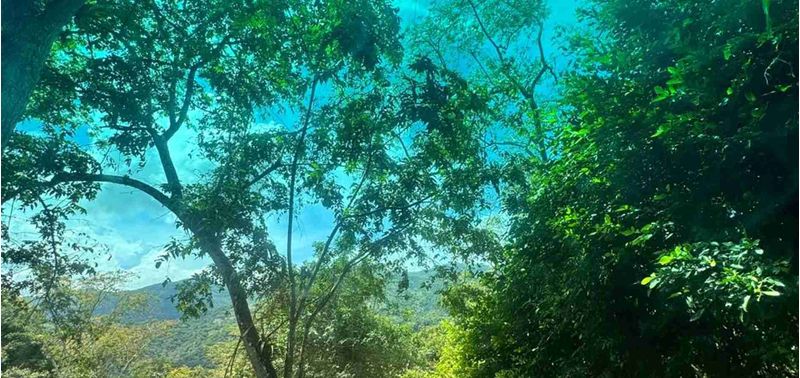 Lote en Venta en Bogotá, D.C., Quebradanegra-6