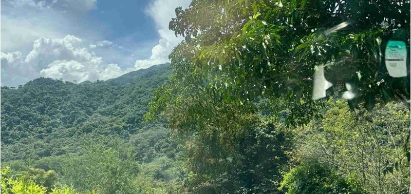 Lote en Venta en Bogotá, D.C., Quebradanegra-7