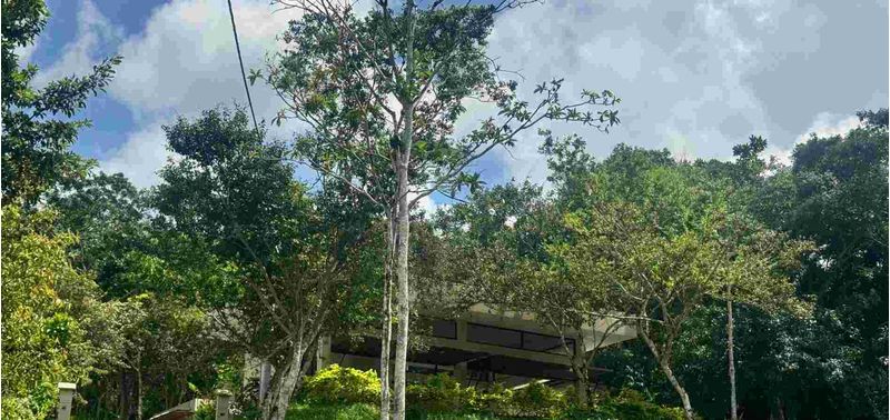 Casa en Venta en Bogotá, D.C., Quebradanegra-18