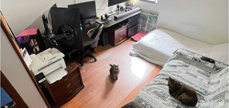 Apartamento en Venta en Bogotá, D.C., Santa Margarita-10