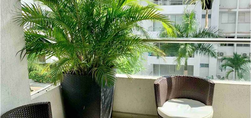 Apartamento en Venta en San Jerónimo, San Jerónimo-6