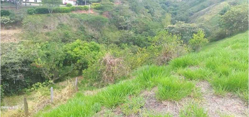 Lote en Venta en San Jerónimo, San Jerónimo-10