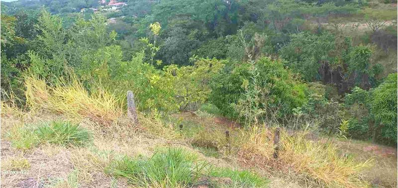 Lote en Venta en San Jerónimo, San Jerónimo-13