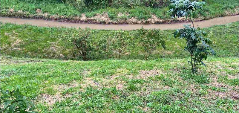Lote en Venta en El Carmen De Viboral, El Carmen de Viboral-8