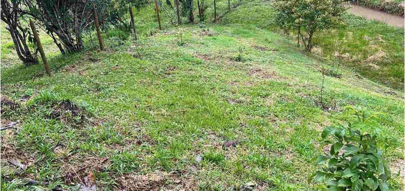 Lote en Venta en El Carmen De Viboral, El Carmen de Viboral-8