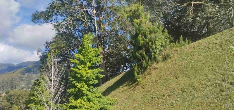 Lote en Venta en La Ceja, La Ceja-5