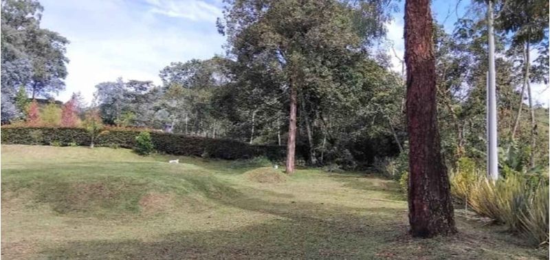 Lote en Venta en La Ceja, La Ceja-8