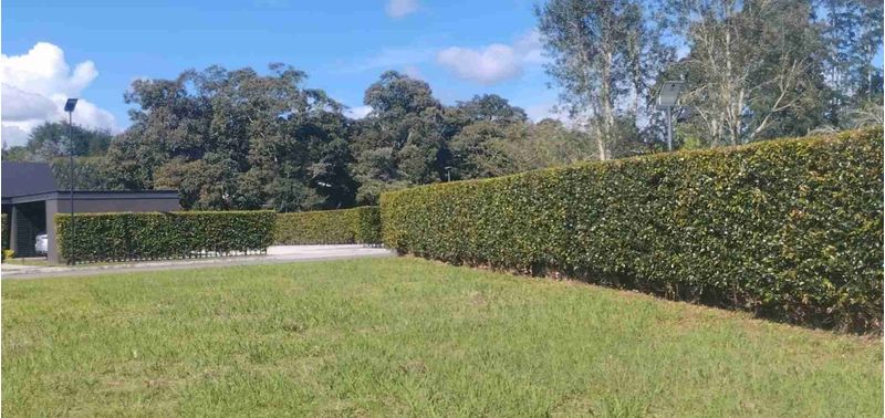 Lote en Venta en El Carmen De Viboral, El Carmen de Viboral-2