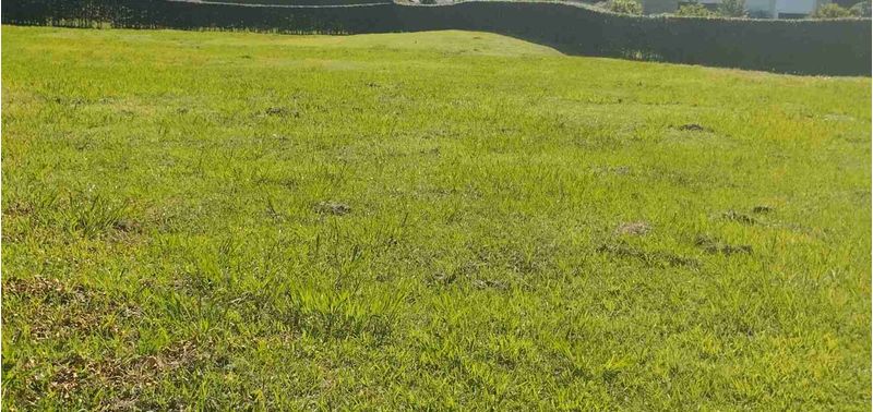 Lote en Venta en El Carmen De Viboral, El Carmen de Viboral-7
