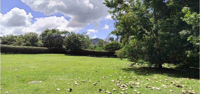 Lote en Venta en La Ceja, La Ceja-1