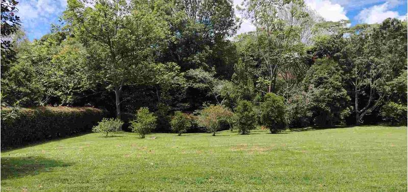 Lote en Venta en La Ceja, La Ceja-4